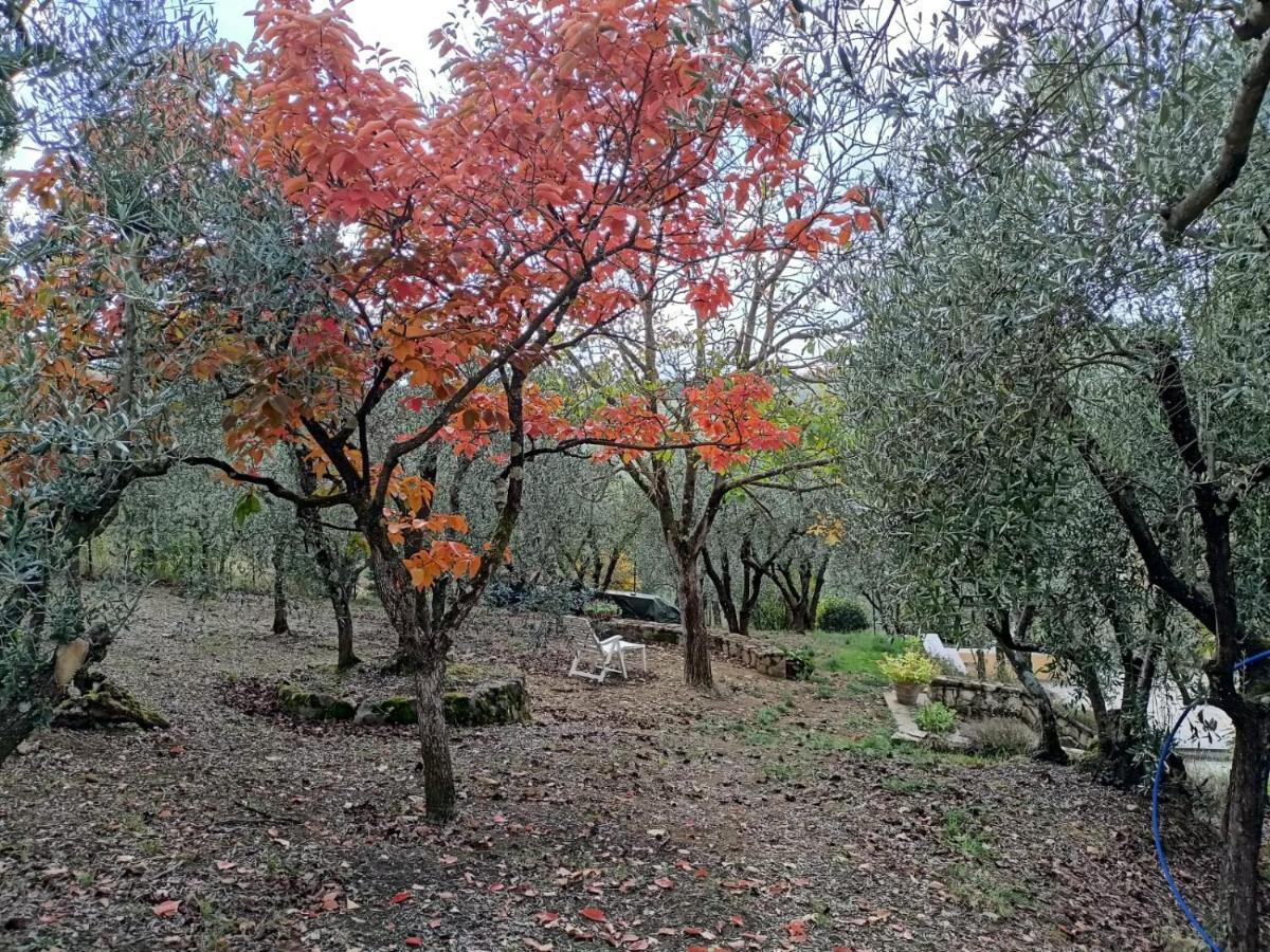 Poggio House, tranquillità e comfort nella natura San Casciano in Val di Pesa Exterior foto