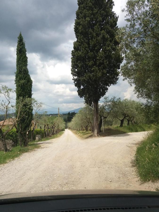 Poggio House, tranquillità e comfort nella natura San Casciano in Val di Pesa Exterior foto